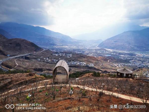 大美九襄 花勢待發