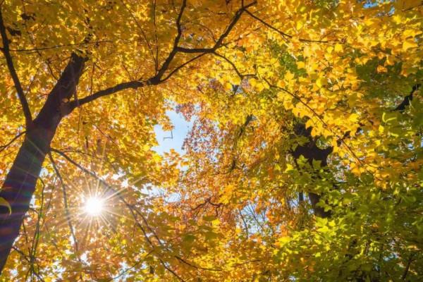 旅遊也要捲起來！！偷偷收藏秋季最美的8個地方....