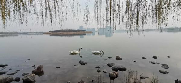 「五律」北龍湖賞秋