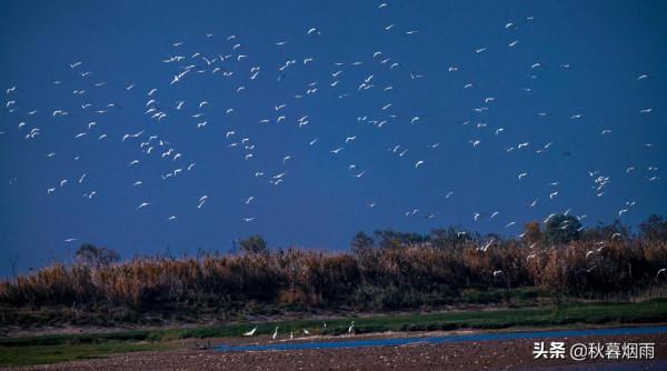 湖光秋月兩相和,潭面無風鏡未磨——美醉屈子生態溼地公園 湖光秋月兩相和,潭面無風鏡未磨——美醉屈子生態溼地公園
