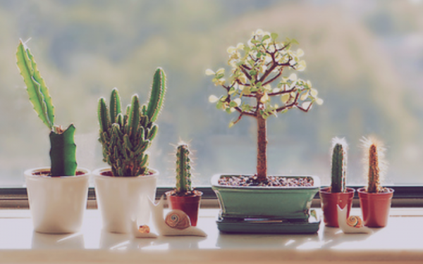 你真的健康嗎？一個健康人的標準