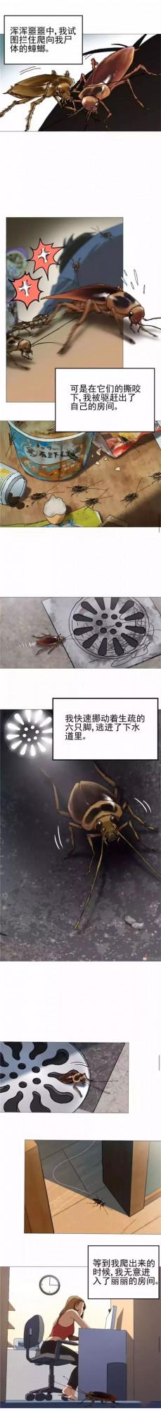 人性漫畫《蟑螂》：換個角度，換種看法