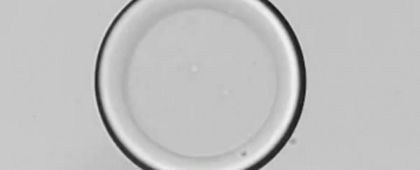 讓液體呈現出現六邊形結構 讓液體呈現出現六邊形結構