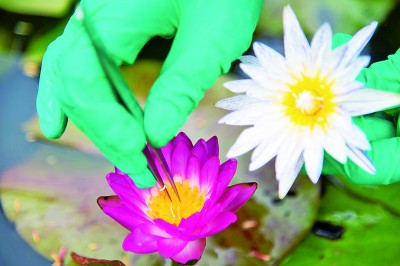 科研長路上青年們的心聲訴求有哪些