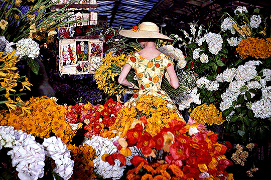 赫本和格蕾絲·凱利造型全方位對比:從銀幕穿搭到私服,你pick誰 赫本和格蕾絲·凱利造型全方位對比:從銀幕穿搭到私服,你pick誰