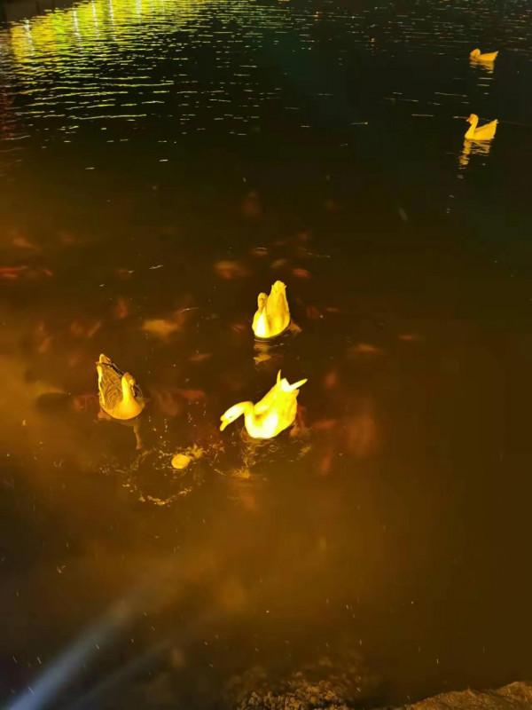 減肥第5天（午餐晚餐）