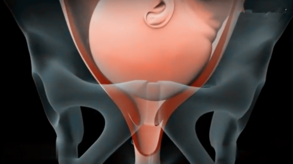 孕媽如果出現這三種症狀,就算預產期還沒到,也要提前去醫院待產 孕媽如果出現這三種症狀,就算預產期還沒到,也要提前去醫院待產