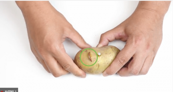 如何製作馬鈴薯電池