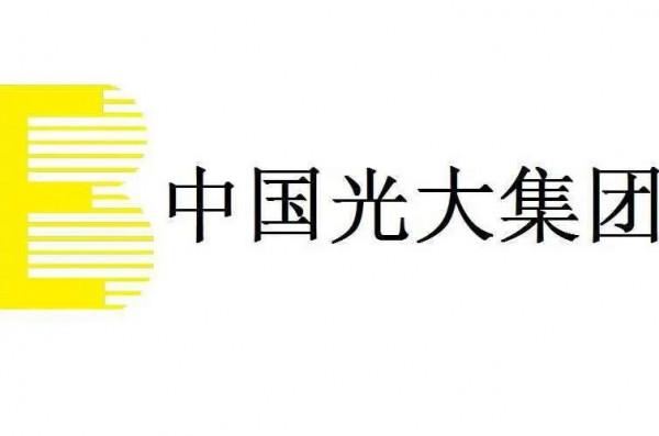 中國四大金融集團，有最大央企，有中國最大混合所有制企業