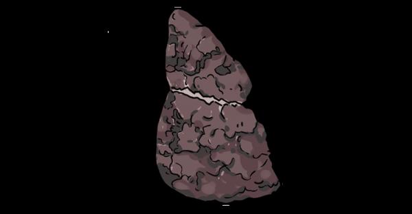 吃什麼能快速解酒？蜂蜜、濃茶都沒用！真正有效的方法是這2個