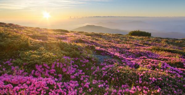 腎虛腰痛的症狀，勞累過後疼痛會加重，來聽專家講