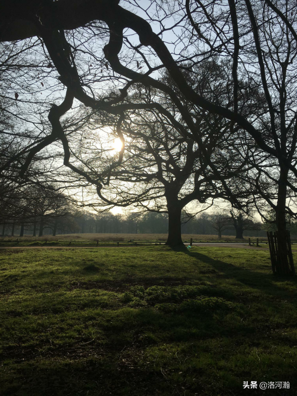 外籍兵團中國兵（二十一）——軍中同袍