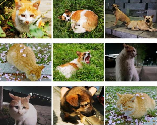 高顏值！陝西這所高校位於特大城市，佔地4300畝！網友：風景絕美