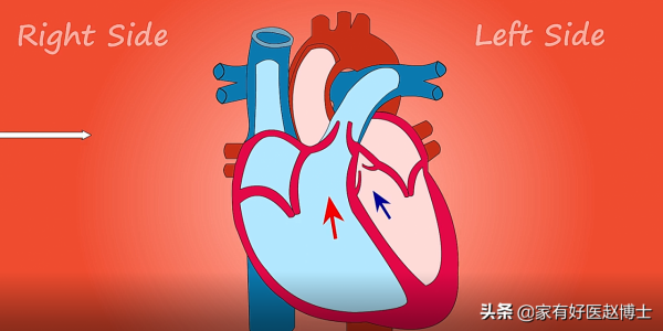 心臟彩超提示:左室舒張功能減退、瓣膜輕度反流,究竟嚴不嚴重? 心臟彩超提示:左室舒張功能減退、瓣膜輕度反流,究竟嚴不嚴重?