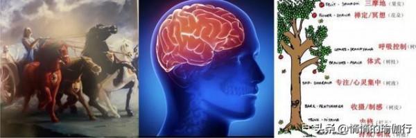 遭遇更年期綜合症，瑜伽6年後，她竟然年輕了10歲