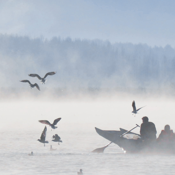 快來，瀘沽湖的冬日精靈，想和你交個朋友！