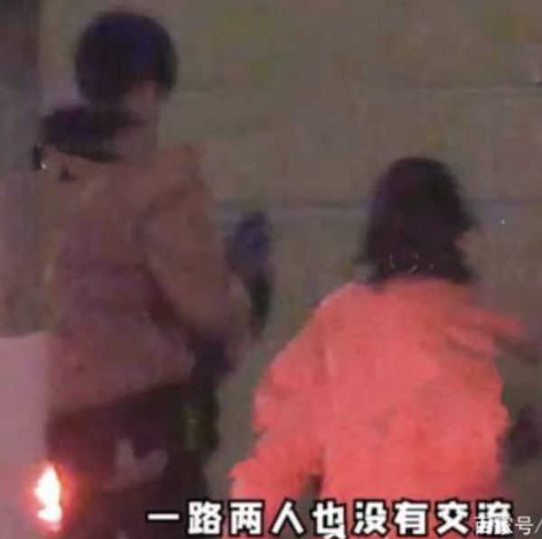 焉栩嘉又雙叒談戀愛了？新女友疑似是張子楓，網友直呼妹妹快跑