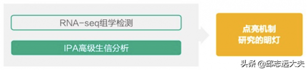 一文解鎖機制研究神器——IPA分析 一文解鎖機制研究神器——IPA分析
