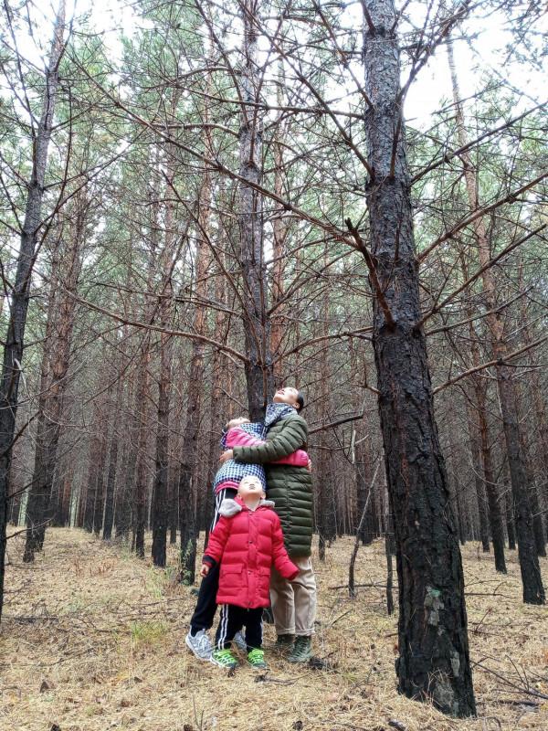 滿目金黃，又想壩上草原了（二）