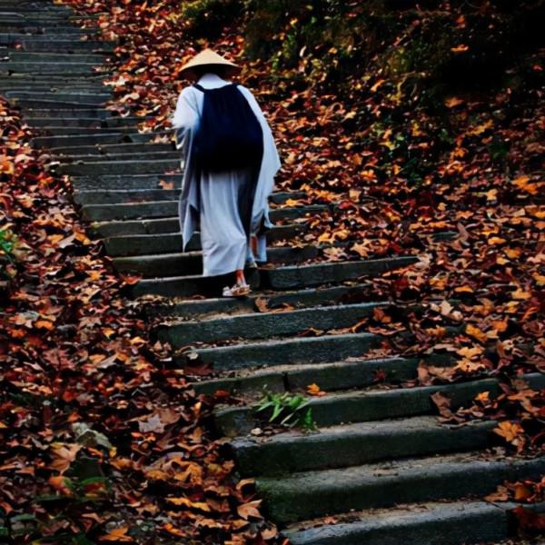 你和我都有的六顆韭菜心,實感了 你和我都有的六顆韭菜心,實感了