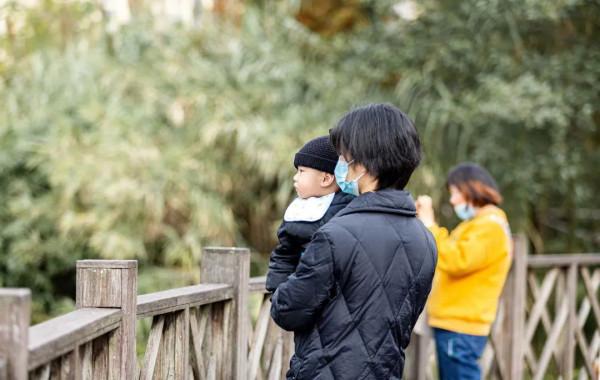 又到一年觀鳥季快來“鷗”遇我在龍灣湖畔等你