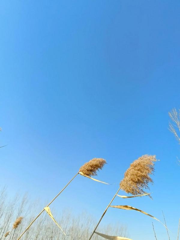 散文:《我的老妻》 散文:《我的老妻》