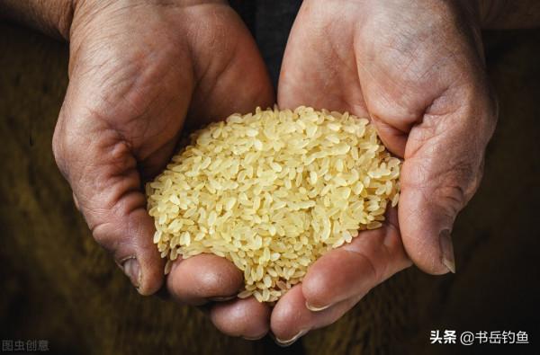先彆著急用紅蟲!秋天的鯽魚只愛米!釣魚初學者用了都能釣獲板鯽 先彆著急用紅蟲!秋天的鯽魚只愛米!釣魚初學者用了都能釣獲板鯽