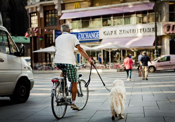 “維也納”現狀,帶你看看一個真實的維也納 “維也納”現狀,帶你看看一個真實的維也納