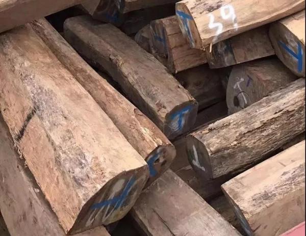 沃格利國標紅木大宅地暖地板紅木百科全書（七）