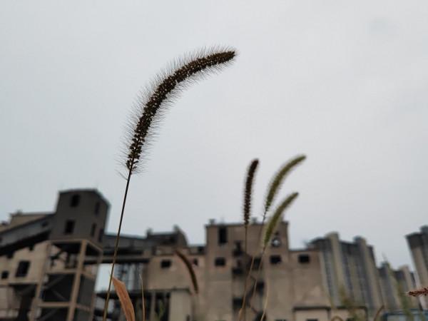 榮耀 Magic 3 至臻版攝影精選（二）