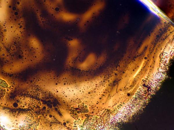 提森特（Tissint）火星隕石薄片