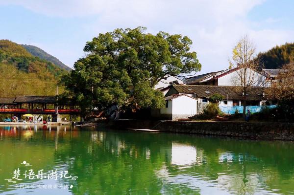 餘姚這個被稱為世外桃源的古村,一年四季風光各異,如今遊人不斷 餘姚這個被稱為世外桃源的古村,一年四季風光各異,如今遊人不斷