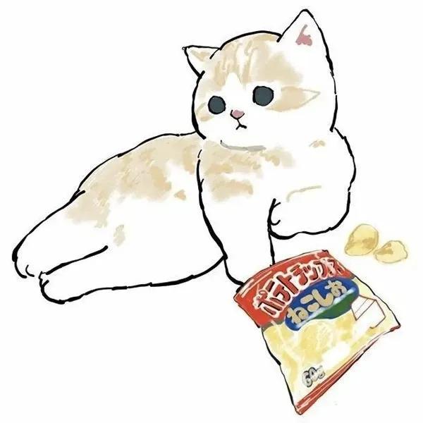 太萌了，治癒系萌貓頭像，趕緊儲存帶走她