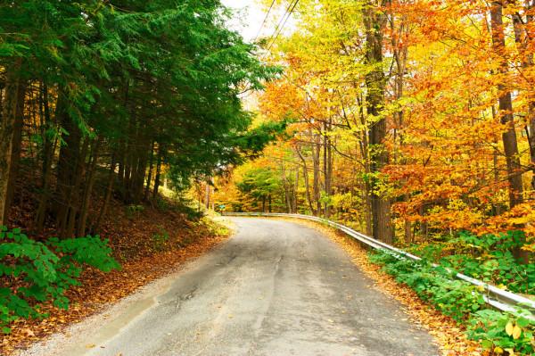 這篇有著“先知一般語言”的散文，難懂卻耐讀