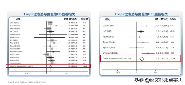 CUA熱點回顧！林天歆教授在CUA暢談ADC類藥物在尿路上皮癌的治療經驗
