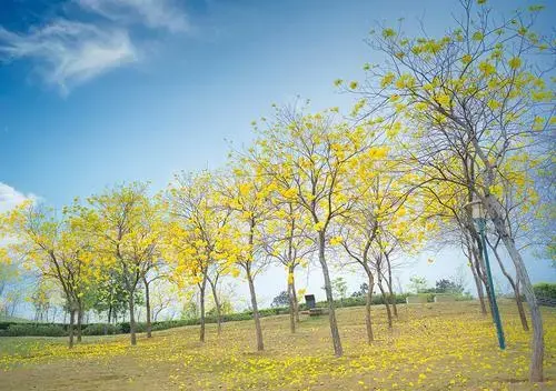 夜讀：在複雜的世界裡，做個簡單的自己
