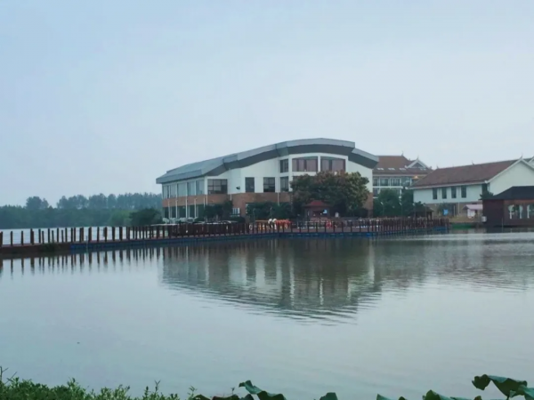 西雙版納該怎麼辦