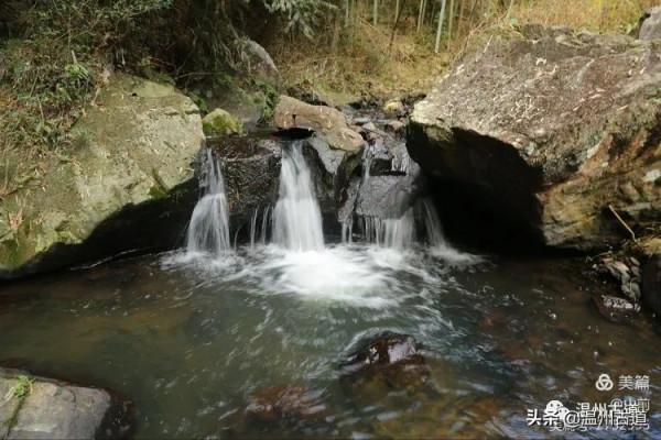 這條被譽為“浙江西南第一嶺”的紅楓古道你去過嗎？