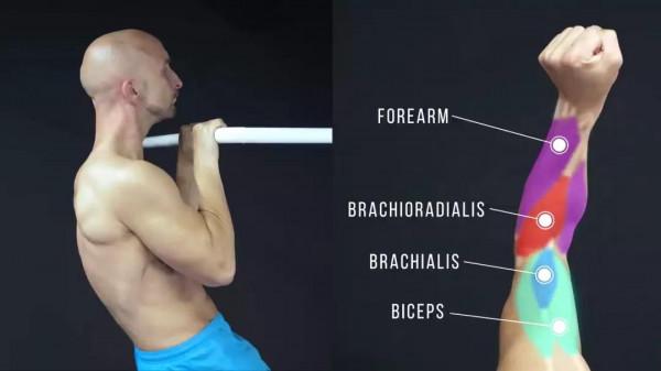 3個都不曾注意到的「引體向上」細節，讓訓練效果事半功倍