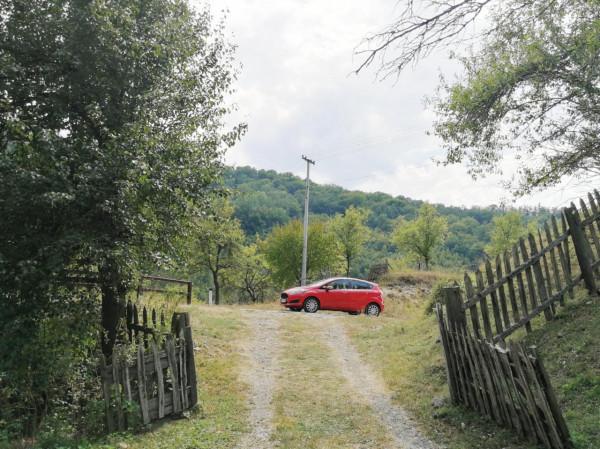 塞爾維亞和波黑之旅