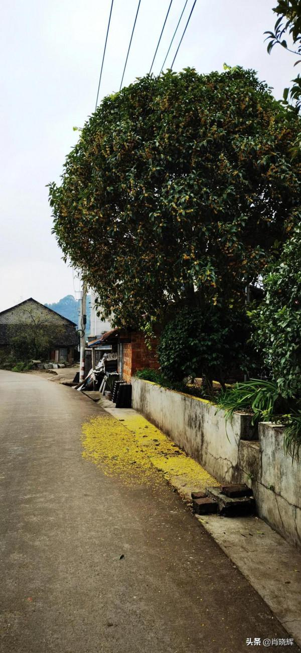 飛天山徒步，竟誤入桃源深處