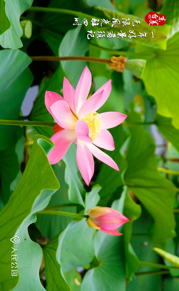 一起走過東臺最美的四季