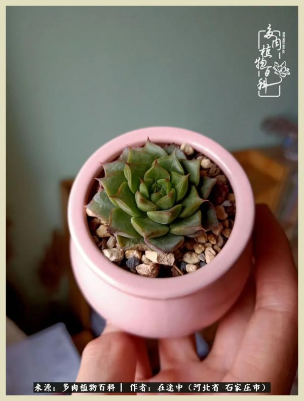 落葉知秋,願你安好 落葉知秋,願你安好