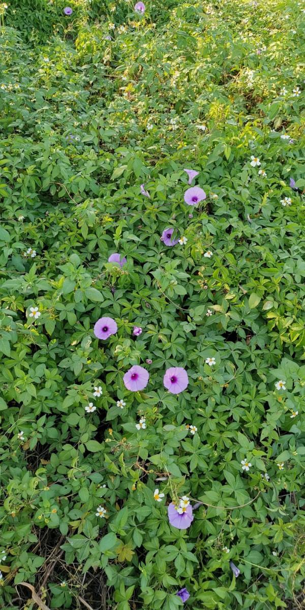 有些人有些事,是天意還是巧合? 有些人有些事,是天意還是巧合?