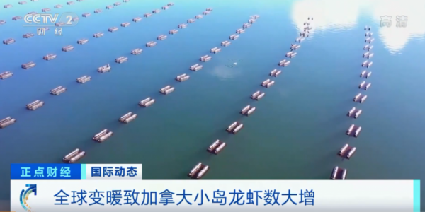 全球變暖致加拿大小島龍蝦大增