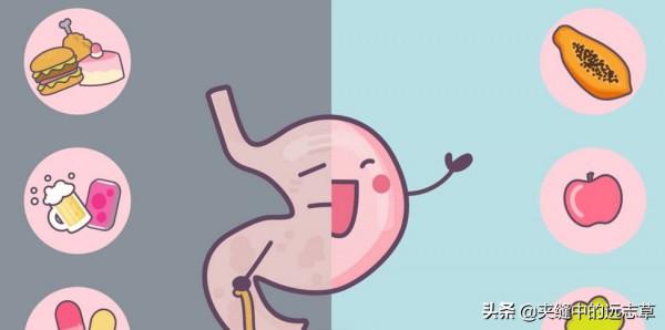 脾胃虛寒？講六味中藥，辛甘化陽，酸甘化陰，溫中補虛，陰陽調和