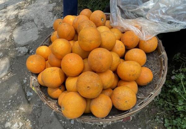 重慶遊不一樣玩法：乘綠皮火車逛廢棄古鎮，賞中國第二鐵路大橋