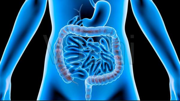 每天堅持晨起空腹吃蘋果，過段時間後，會帶給身體哪些好處？