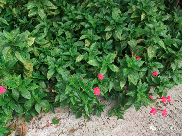 終於買到了暖瓶塞