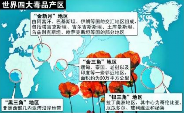 緝毒女警王雲榮：臥底11年破獲毒案140餘宗，最怕被逼吸毒